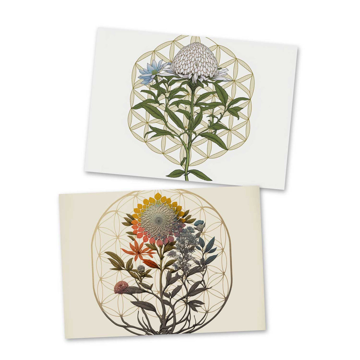 Blume des Lebens Karten Set (10 Karten) | Flower of Life | Geschenk | Wanddekoration | Bild Deko Spirituell | Dekoration I Wandbild